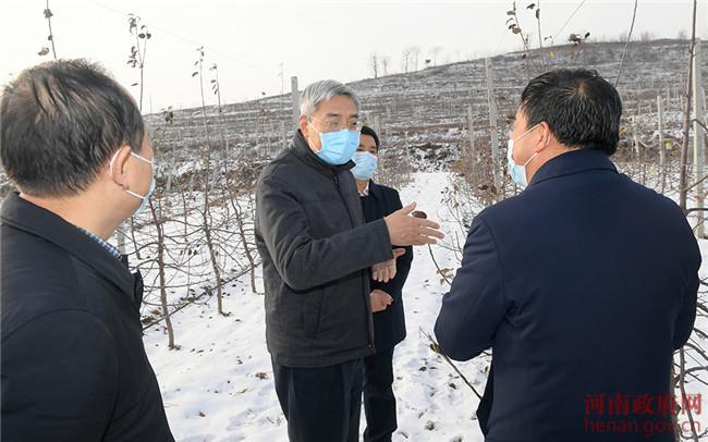 尹弘在卢氏县调研接续推进巩固拓展脱贫攻坚成果 同乡村振兴有效衔接工作时强调  强化帮扶做好衔接推动乡村振兴深入实施