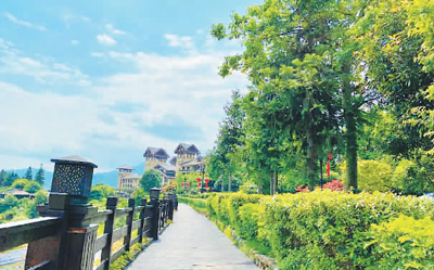 靠山巧“吃山” 风景变“钱景”