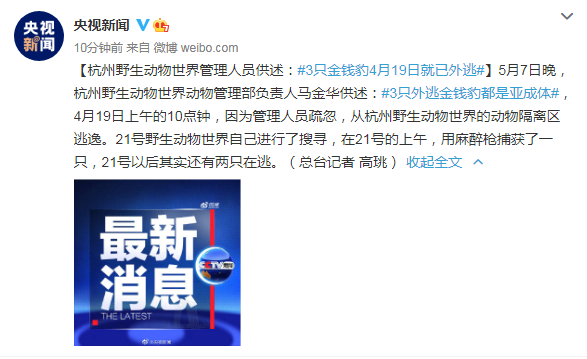 杭州野生动物世界三只金钱豹4月19日外逃 管理人员疏忽所致