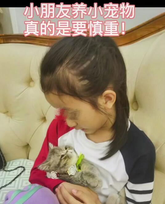 买猫不到10天女孩头顶直接秃了 养猫可能会患上哪些病？