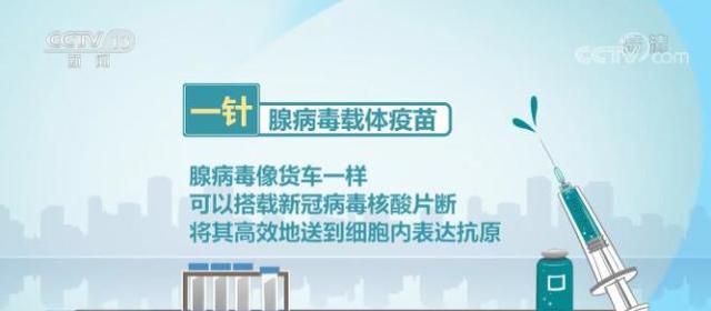 中疾控:已在针对变异株研制新疫苗