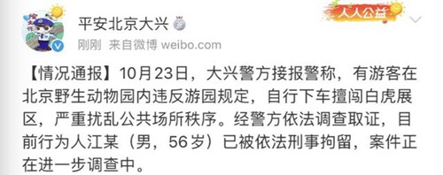 游客下车挑衅11只白虎：草坪藏电草起到关键防护作用 游客已被刑拘