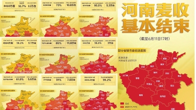 一位 95后记者眼中的河南“三夏”