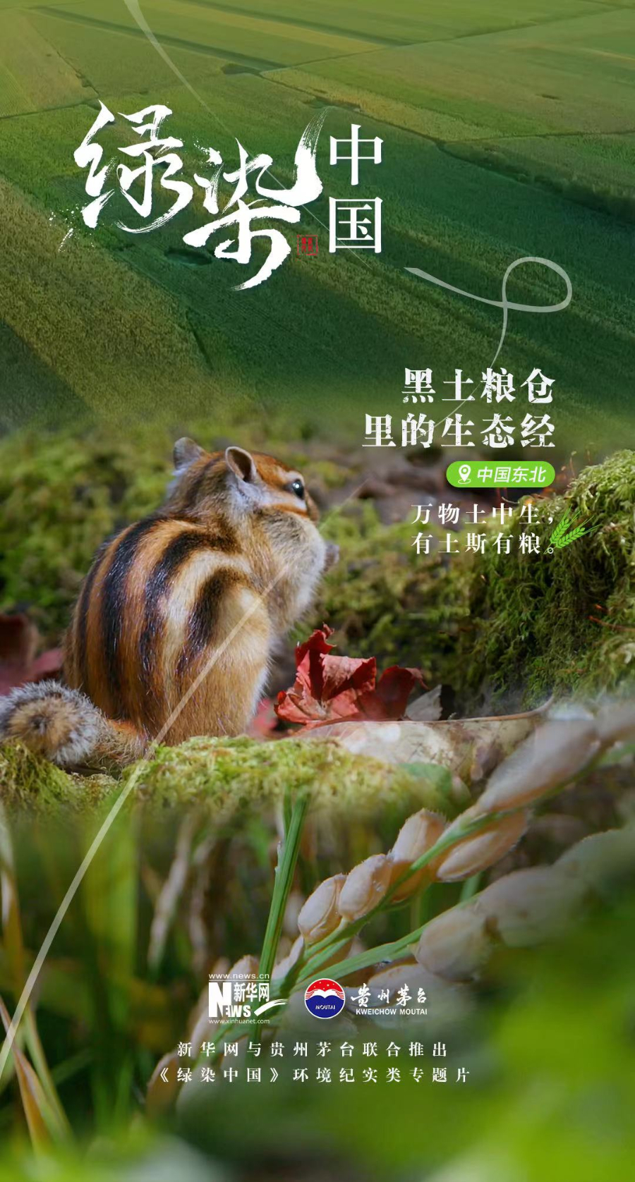 大型环境纪实类专题片《绿染中国》即将在新华网播出