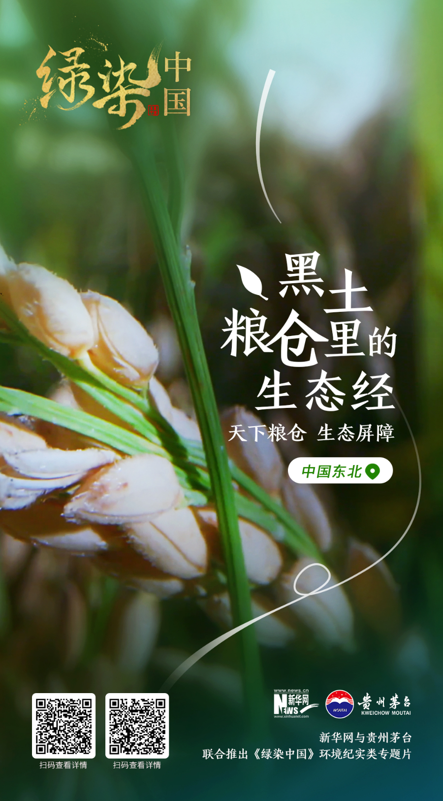 绿染中国|“一两土 二两油” 走近黑土地保护