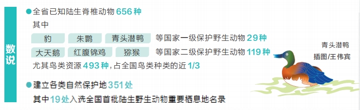 河南鸟类种类占全国约三成