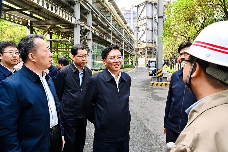 王凯在栾川检查尾矿库防汛安全工作