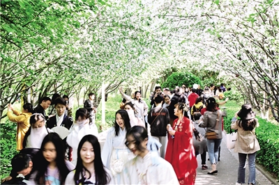 郑州市第十六届海棠文化节启幕