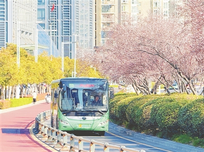 郑州“春游经济”活力绽放