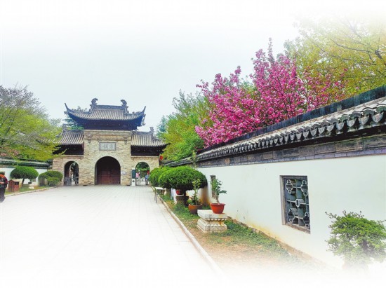 赏花经济 花没了怎么办