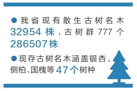 刘宁主持召开省委麦田管理视频调度会议