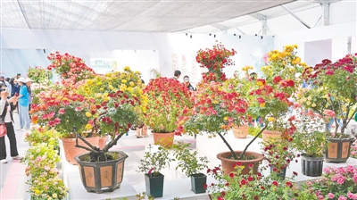 郑州展园夺得室外展园“大奖”
